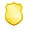 shield 

icon