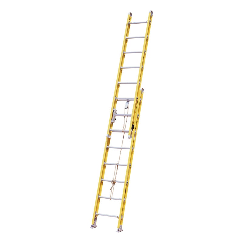 AL-FEL_main.jpg?resizeid=3&