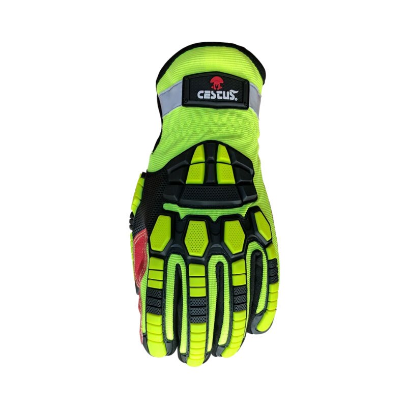 Cestus gloves shop