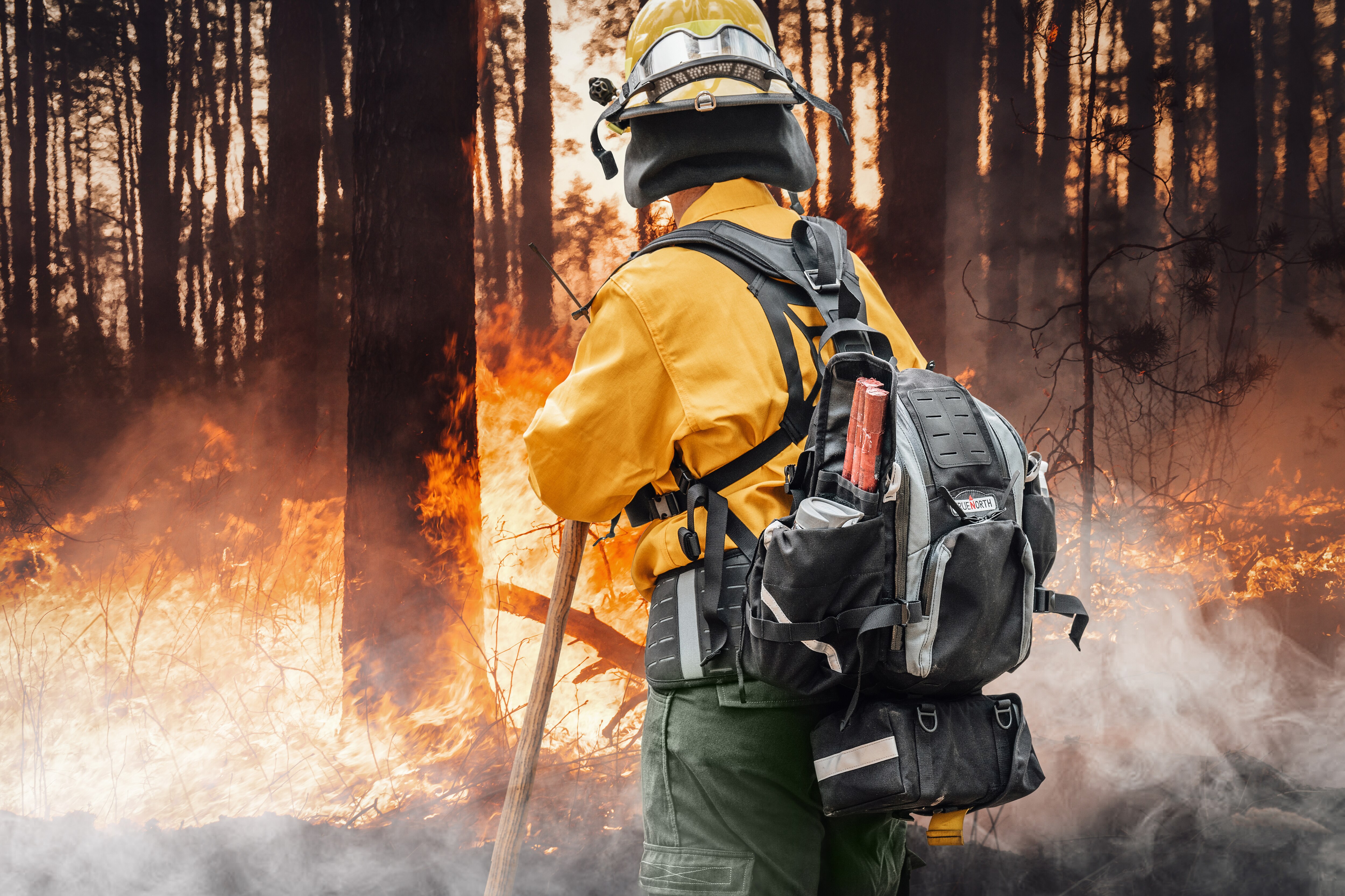Wildfire